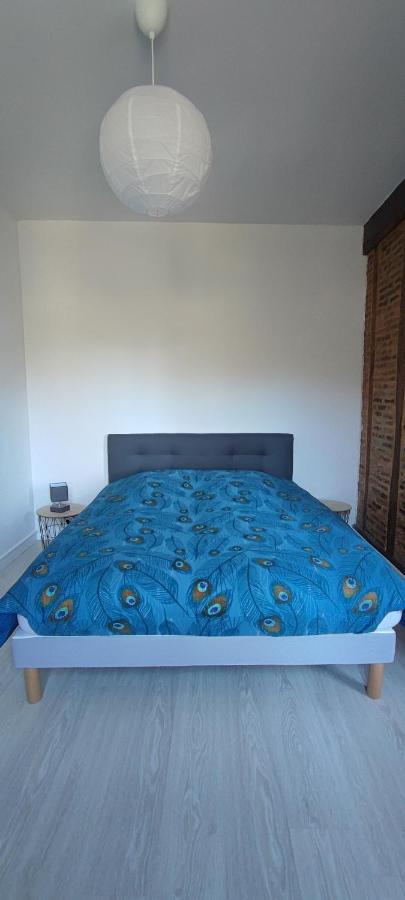 Appartement D'Hippolyte - Vue Musee Rimbaud Шарлевіль-Мезьєр Екстер'єр фото