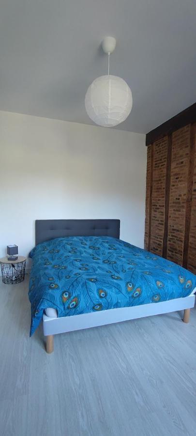 Appartement D'Hippolyte - Vue Musee Rimbaud Шарлевіль-Мезьєр Екстер'єр фото